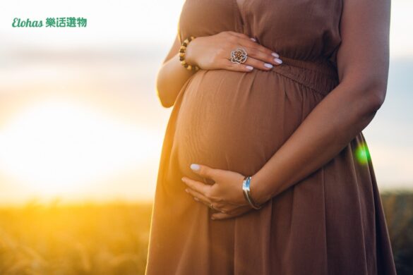 想懷孕該怎麼做？女性養卵吃什麼？4大備孕養卵妙招一次公開
