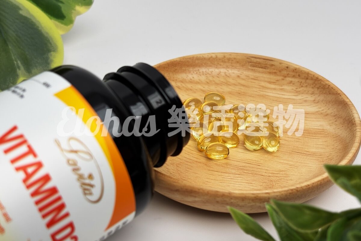 維他命D推薦NO.14 Lovita愛維他 維他命D3膠囊