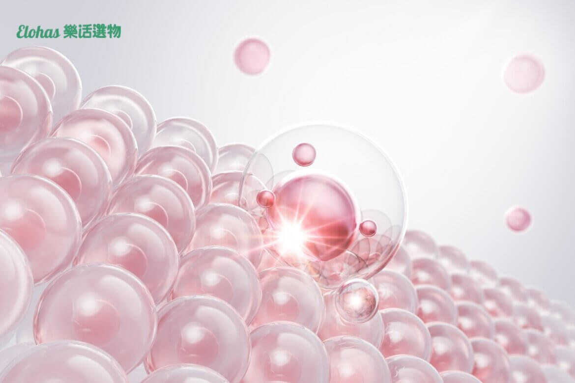 外泌體是什麼?外泌體真的有用嗎？一次了解外泌體功效和應用