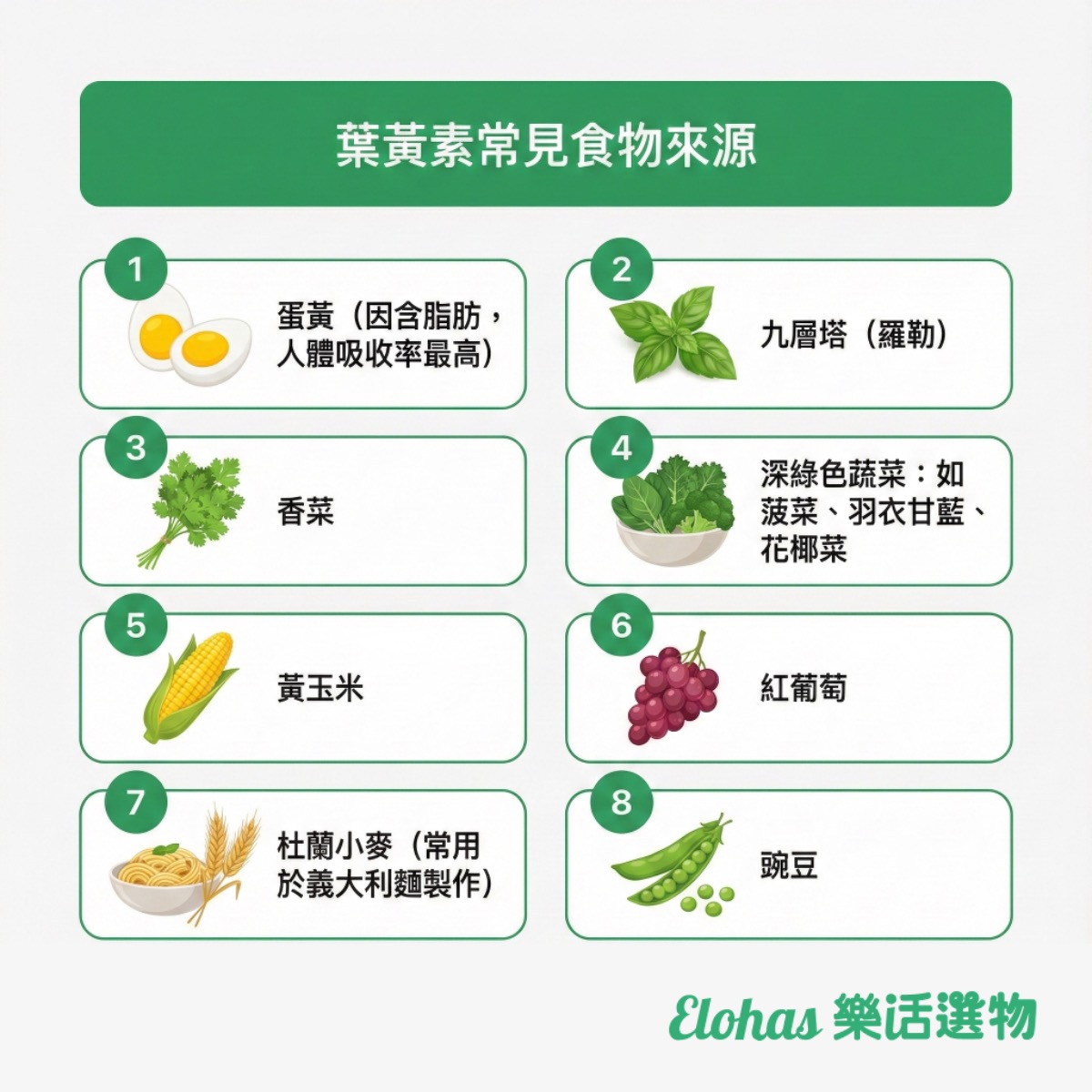 葉黃素常見食物來源