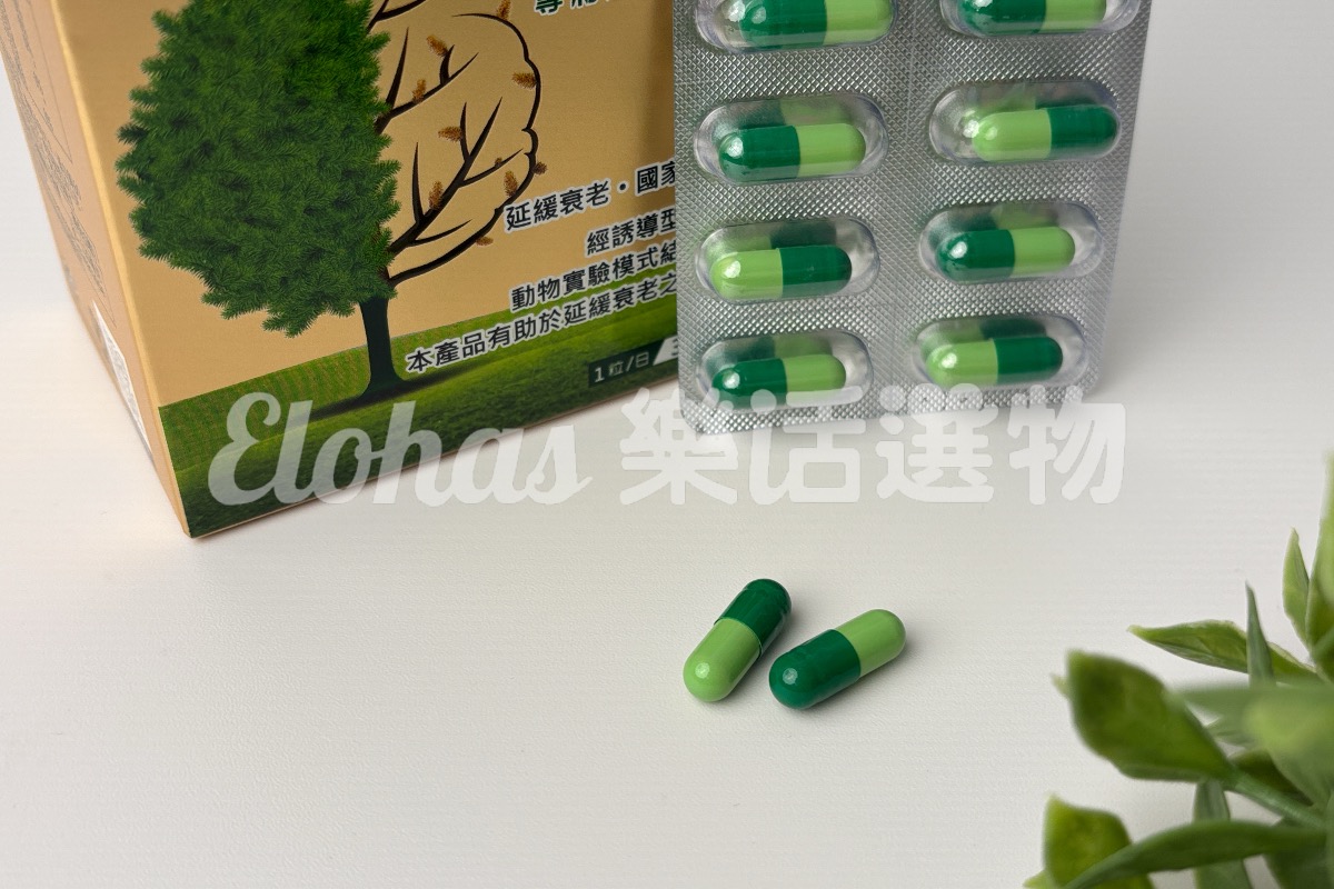 銀杏推薦3 杏輝醫藥 蓉憶記膠囊