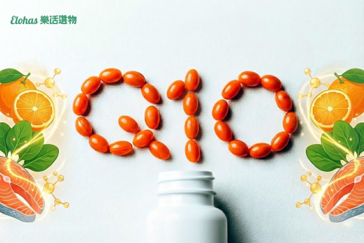 Q10功效有哪些? 解析完整輔酶Q10功效、副作用一次看