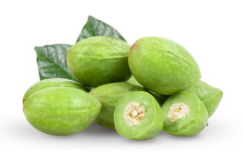 訶子(Terminalia chebula)不只可能影響尿酸生成,也有調節減緩發炎反應的效果。