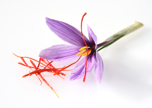 番紅花（英文：Saffron；學名：Crocus sativus L.）是由番紅花植物的雌蕊柱頭乾燥製成的天然香料，而「藏紅花」其實就是番紅花的另一種中文名稱，兩者指的是同一種植物，並沒有差別。